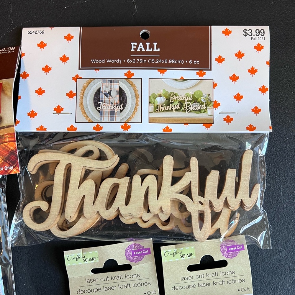 Thankful Craft Lot - Picture 3 of 6